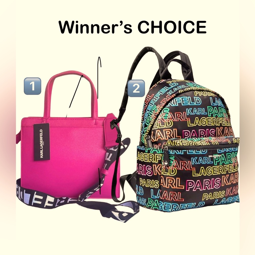 WinnersChoice NWT Karl Largerfeld Bag or NWT KarlLargerfeld Backpack retail $198